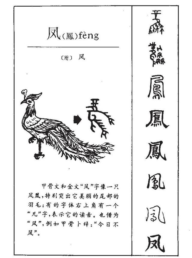 花字的结构是什么，花字的结构是什么意思（苗凤花方——字源里的百家姓丨文兴书舍）