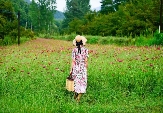 声情并茂下一句怎么说，形容声音美妙动听的成语（让我一生一世）