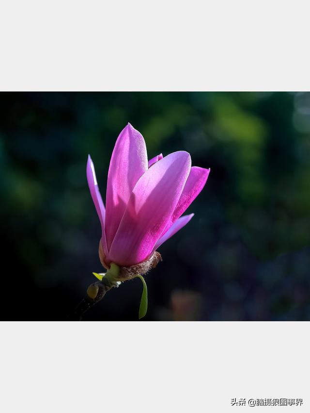 高光质感背景图，高清高级感背景图（若有这6个错误的深色背景照片）