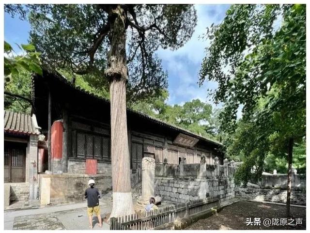 北京海淀区附近寺庙地址，朝礼千寺之677