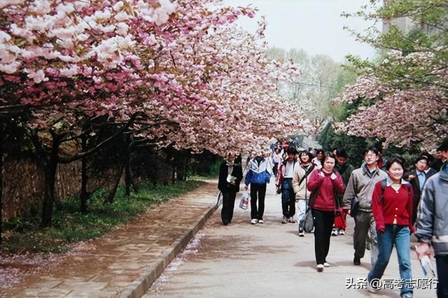 南京农业大学是几本，南京农业大学几本大学（偏冷的农林类院校）