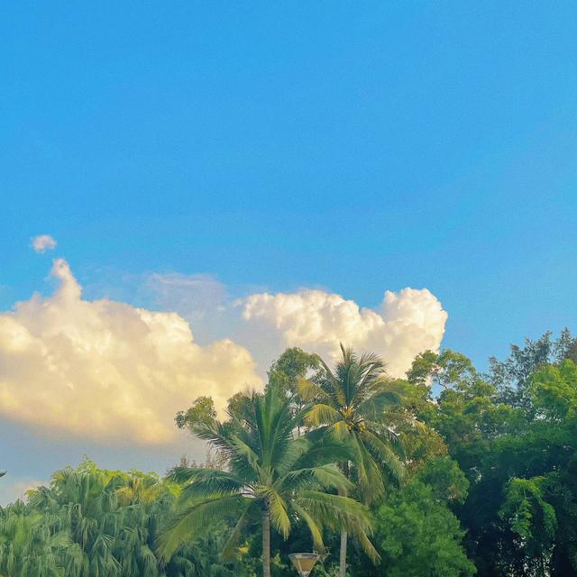 朋友圈配图,朋友圈配图 唯美(一些不错的朋友圈背景图)