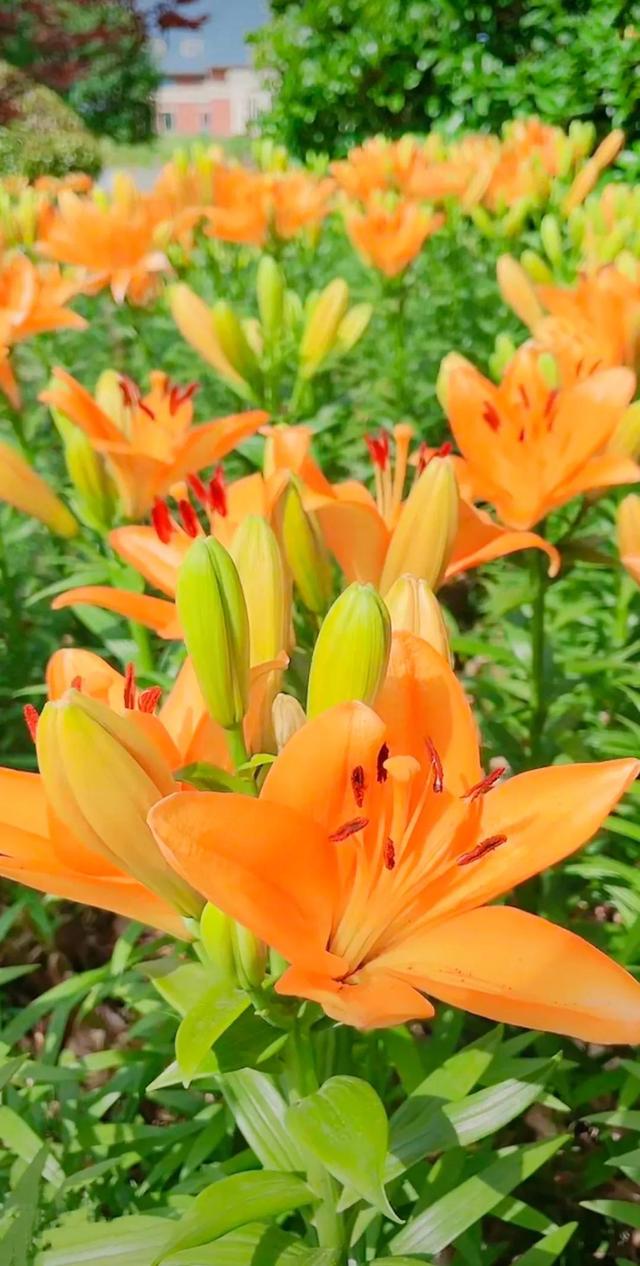 努力的意义是什么，努力的意义是什么图片（女人努力的意义是什么）