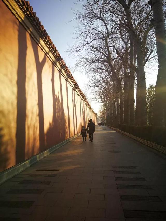 教孩子分分钟识国宝，国宝九龙壁（五、河南博物院：贾湖骨笛）