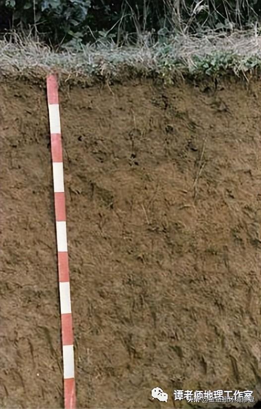 土地性质分类和用途，怎么查个人土地信息（附中国土壤的分类及分布）