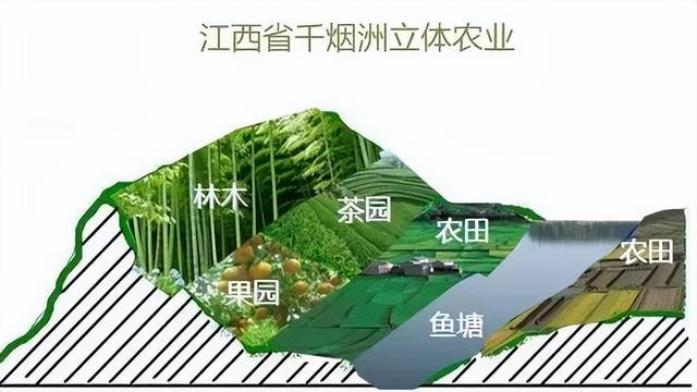 农业类型有哪几种，休闲农业有哪几个类型（你想了解的都在这里）