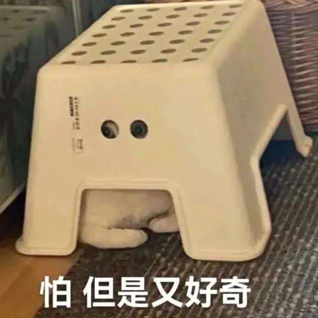 萌宠表情包，微信头像，萌宠表情包（萌宠表情包：我的爱是垃圾吗）