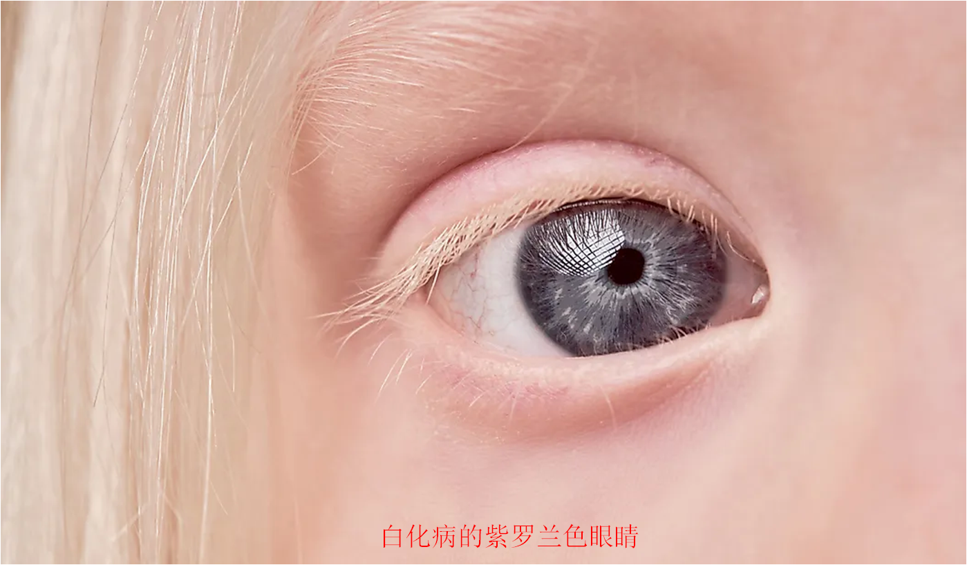 什么颜色对眼睛好，哪些颜色对眼睛好（各种眼睛颜色的人口比例是多少）