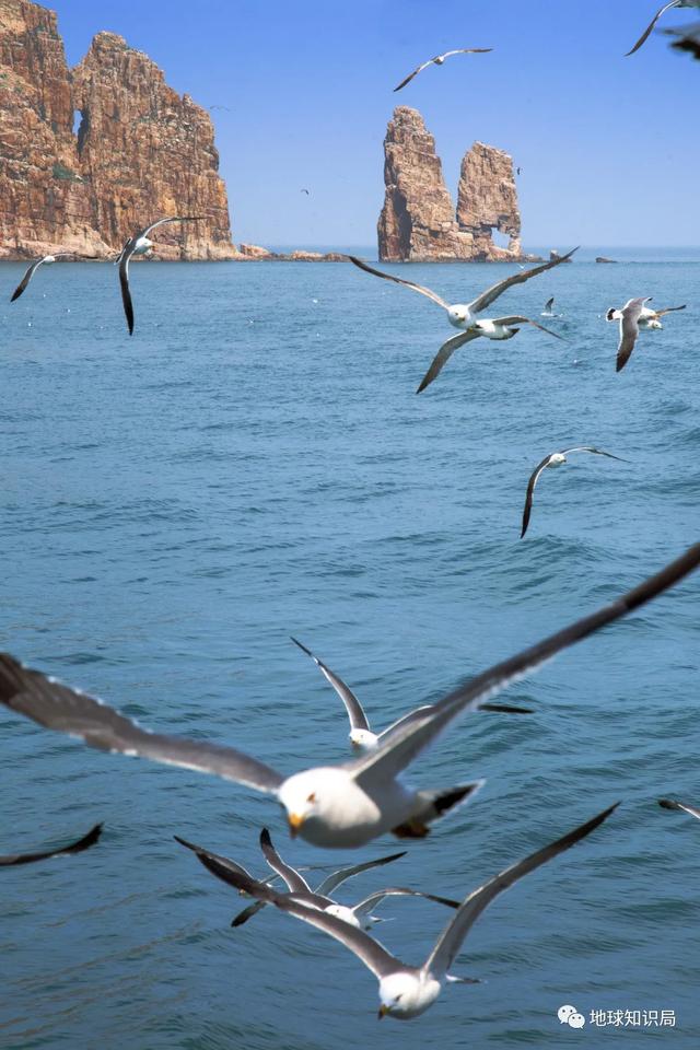 沧海桑田的沧海是哪个海，“沧海桑田”（渤海，越来越小了，地球知识局）