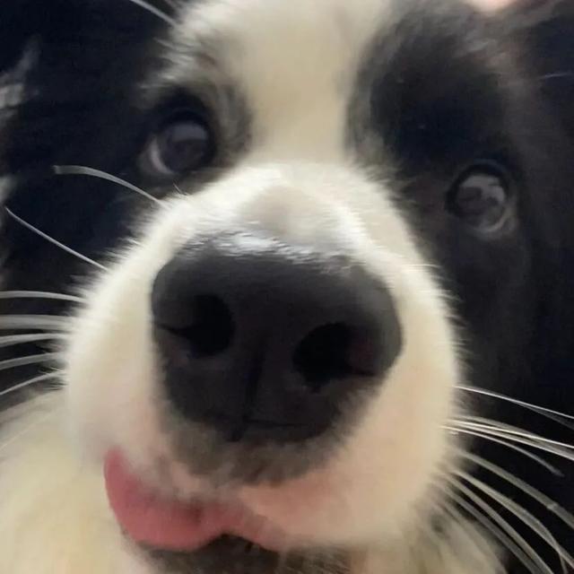 也许放弃才能靠近你，也许放弃 才能靠近你，微信头像（人生才几年不能因为找不到对象而放弃自己）