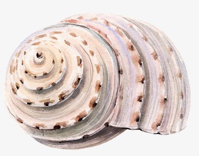 中国空间站离地球有多少公里，空间站离地面有多少公里（空间站为什么只飞400公里高）