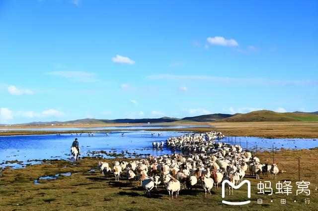 青海省旅游攻略，青海旅游指南（看这篇就够了<深度攻略）