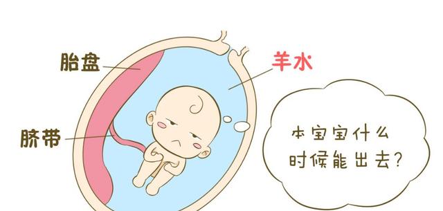 羊水是什么颜色，孕晚期羊水是什么颜色（孕产知识：羊水的颜色）