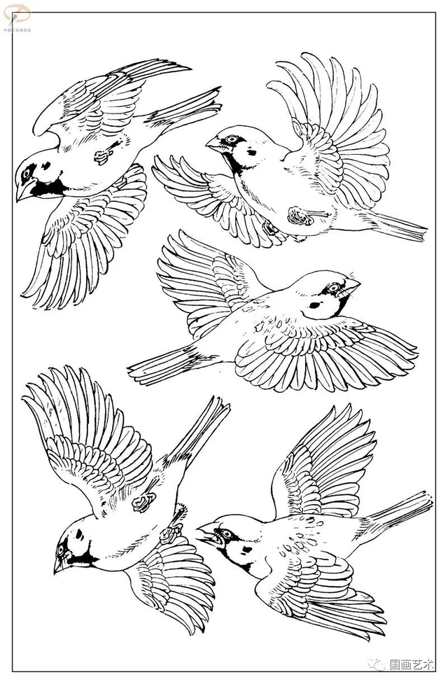 火的简笔画图片，火焰怎么画简笔画图片（画鸟参考——白描麻雀百图）