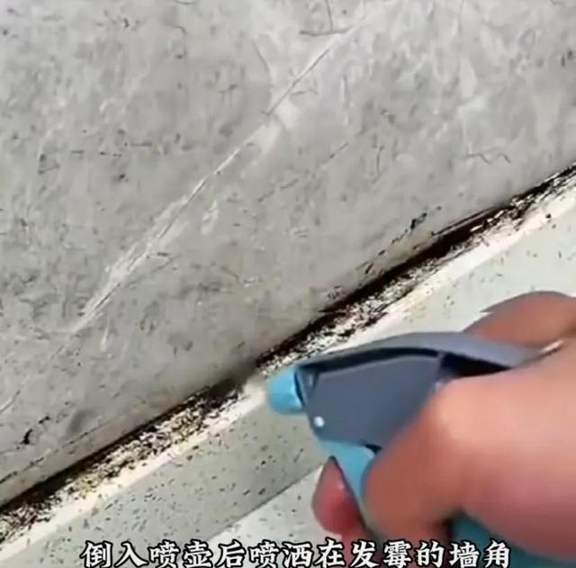 小苏打去霉点最有效的方法，小苏打怎么去霉斑（活了30年才知道的除霉小技巧）