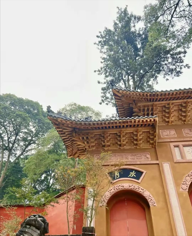 千佛山森林公园，千佛山在哪（不收门票的5个成都周边“小森林”）