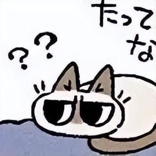 好看的表情包(10000种表情包图片大全)