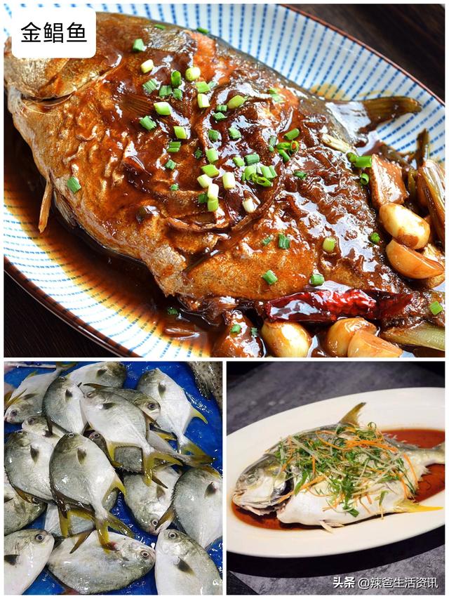 40种“好吃不贵”的野生海鱼（上），附：价格和吃法，请收藏