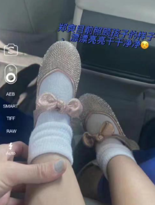 郑爽个人资料简介，终究为自己的“目无法纪”付出了代价