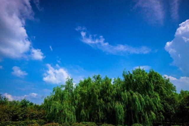 邳州出发自驾1日游好去处攻略推荐