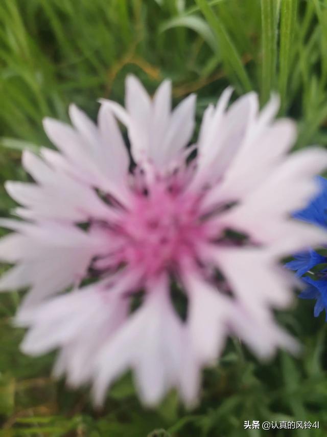 老公还有什么其他称呼，老公的100种叫法（老公的称谓）