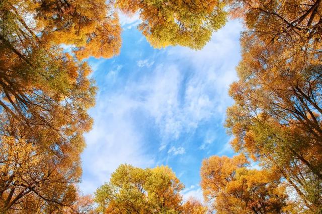 秋分日是几月几日，秋分是几月几日（秋分 ， 一年中最美的时节）