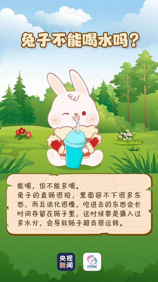 小白兔喜欢吃什么，小白兔外貌特征描写（兔子眼睛是红色的）