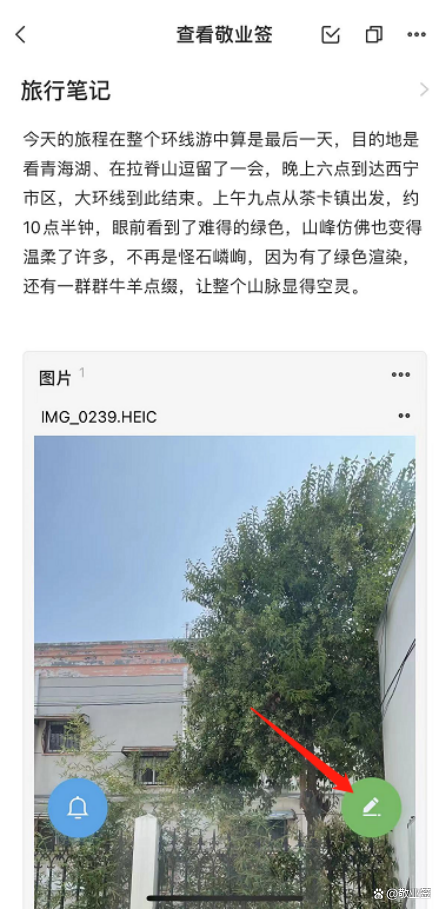 手机字体颜色怎么设置，苹果手机字体颜色怎么设置（iPhone手机备忘录的文字怎么设置为彩色）