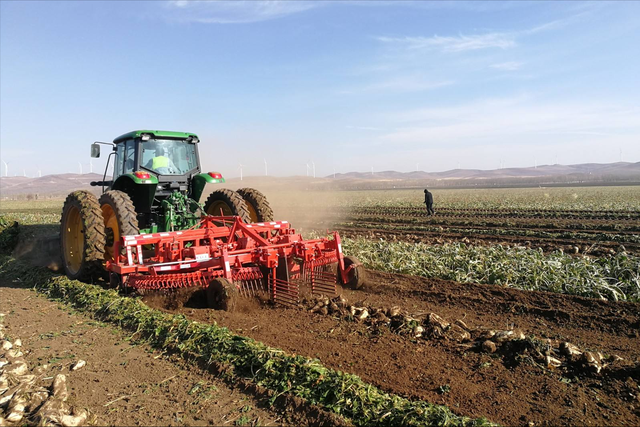 西瓜的糖属于什么糖，什么是西瓜糖（为什么西瓜这么甜没人选择它去制糖）