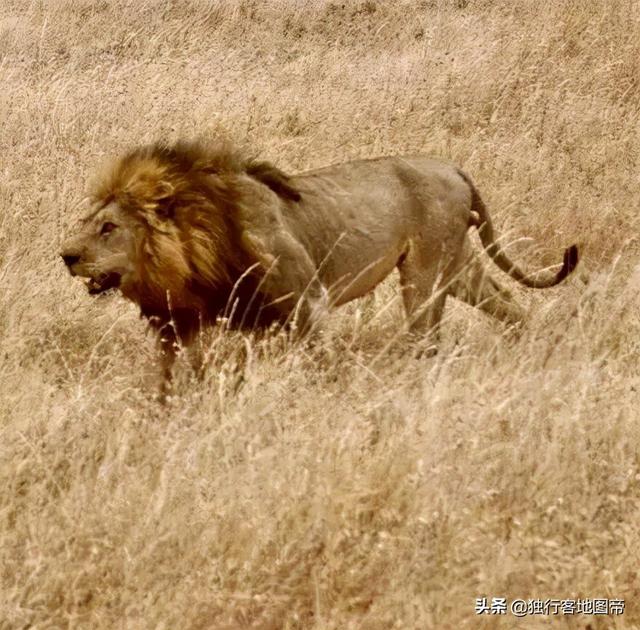 vancouver是哪个国家，van是什么国家（立陶宛首都当年都是波兰的）