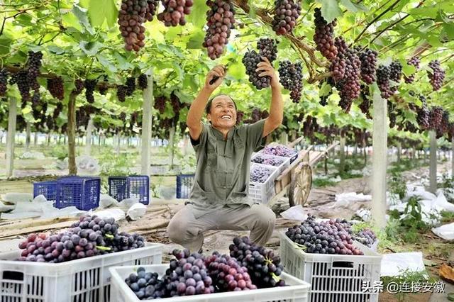 宿州属于哪个市，宿州是哪个省的城市（宿州，扬帆起“杭”）