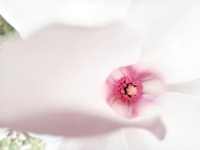 一眼就惊艳的文案30条，简短又惊艳的文案（有什么一眼就惊艳的文案）