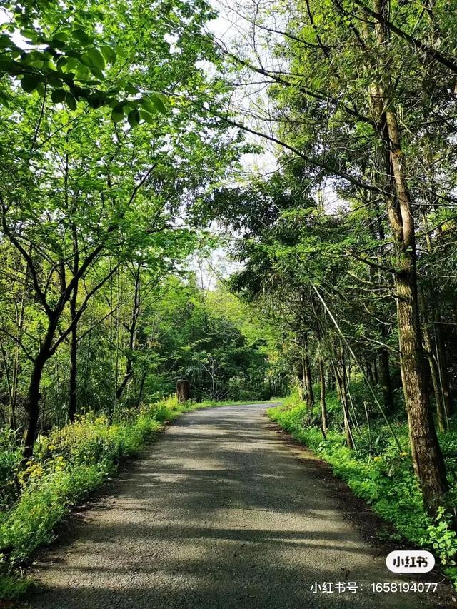 距离成都2小时小众的露营基地，成都近郊9个小众徒步露营耍水地