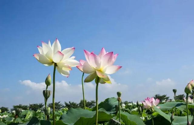 七戒是哪七戒，七戒是哪七戒秒懂百科（人生九戒，你都知道吗）