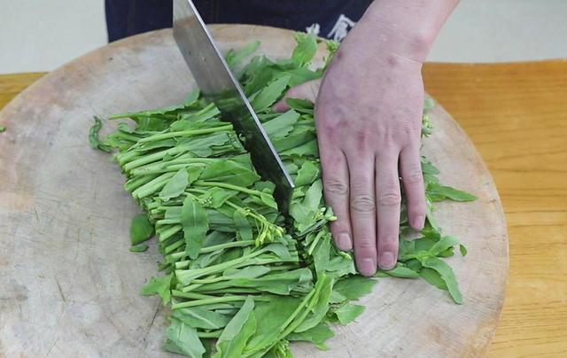 油菜是什么菜，被称为“菜中灵芝”