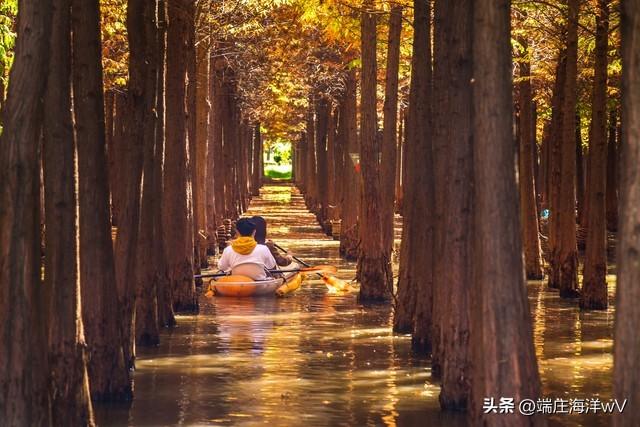 云南好玩的地方，去云南哪里比较好玩（云南十个推荐的旅游景点）