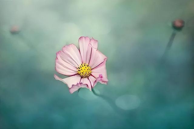 人生哲理美文摘抄，富含哲理经典美文摘抄大全（句句发人深省的人生哲理）