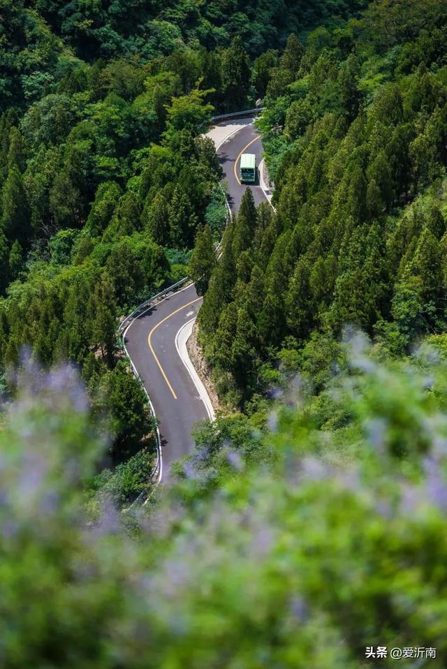 五一山东省内旅游最佳去处，五一假期山东省内自驾旅游攻略（这8条绝美公路一条也别错过）