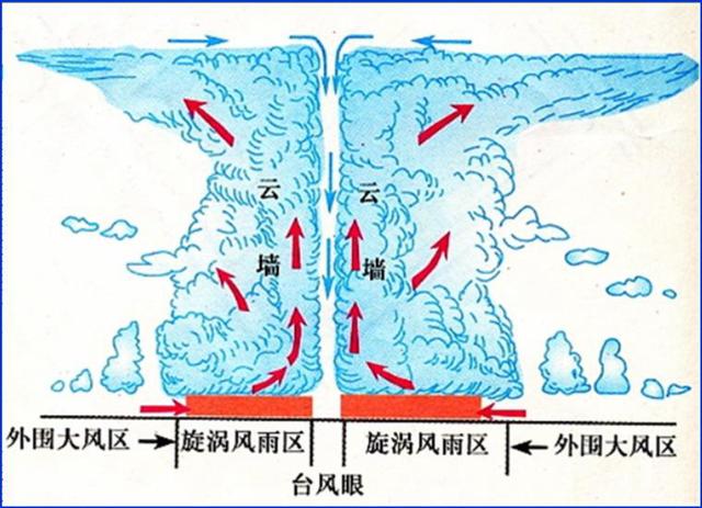 飓风和台风有什么区别，飓风和台风有什么区别英语（为何登陆我国的热带气旋叫台风）