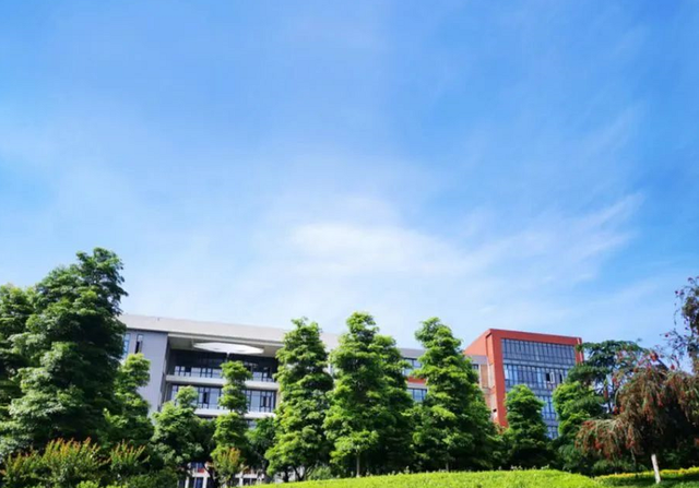 西南石油大学专业，西南石油大学有哪些专业（这些专业收入高、满意度高）