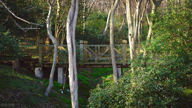 南京周边旅游景点推荐，南京周边自驾游（34个好玩又免费的宝藏公园）