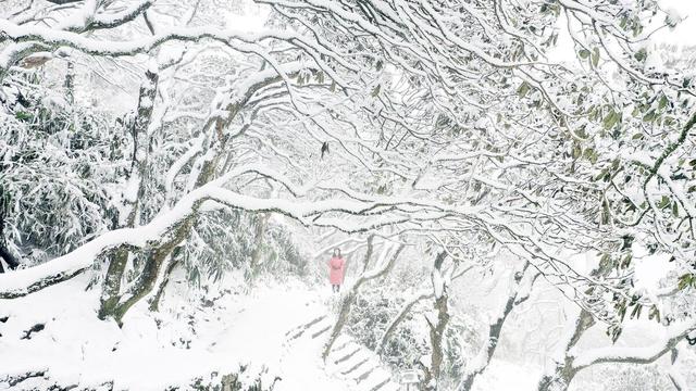 国内必去十大滑雪场滑雪，中国十大滑雪场排行榜（浙江家门口的六大滑雪场推荐）