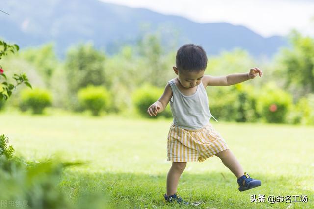 2022李姓虎年最旺男孩名字，2022李姓虎年超旺男孩名字（2022虎年男孩：功成名就）