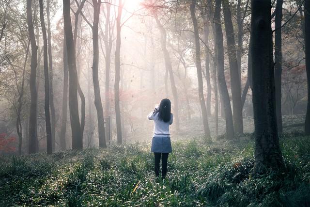 杭州西湖在哪里，杭州西湖在哪个省哪个市区（杭州西湖）