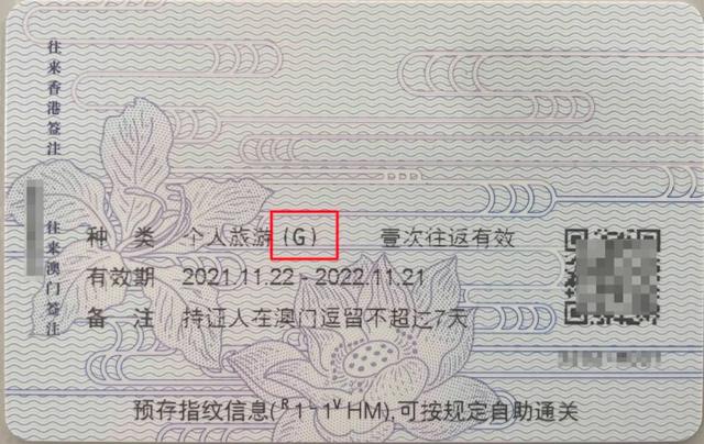 LOL中gg是什么意思，游戏中打gg是什么意思（咦？T、S、L、G、D、Q）