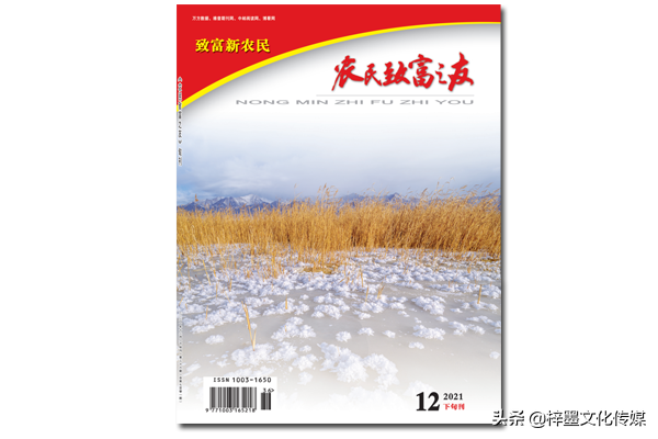 会计之友投稿经验（农民致富之友）