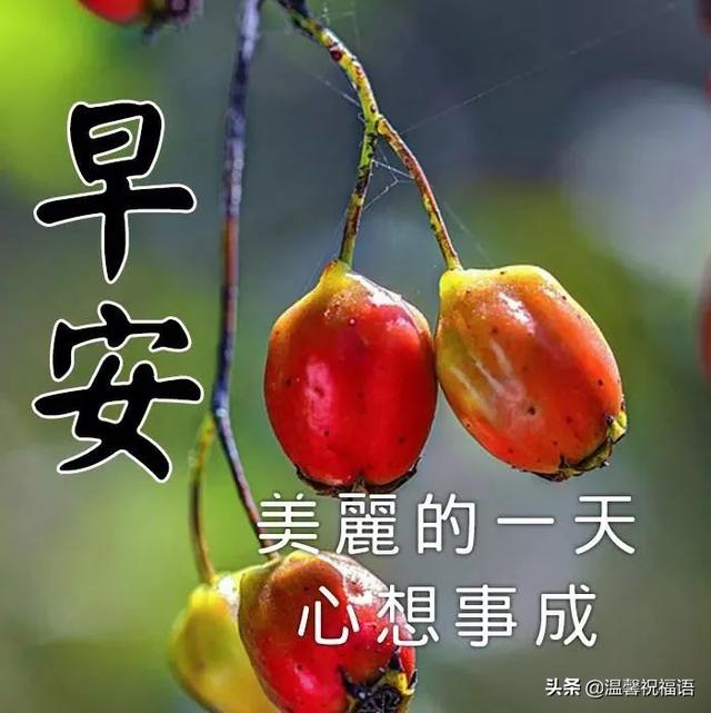 早安图片不带字,高清图片