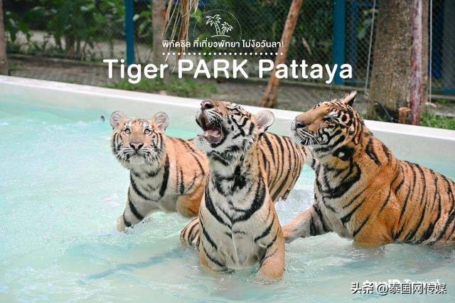 芭提雅旅游攻略，芭提雅最佳旅游攻略（泰国芭提雅22个游玩地点推荐）