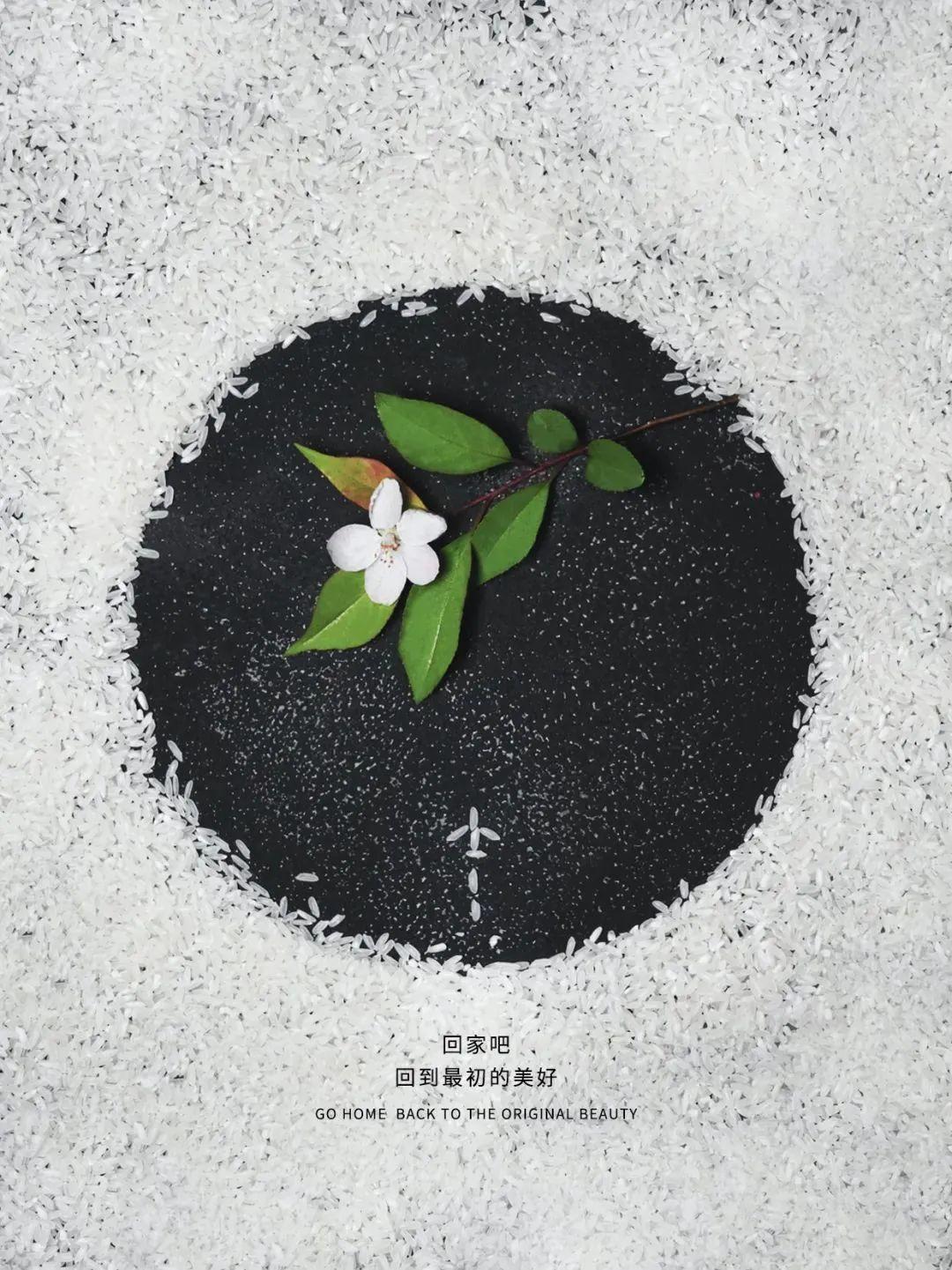 小红书logo(小红书卡通图标)