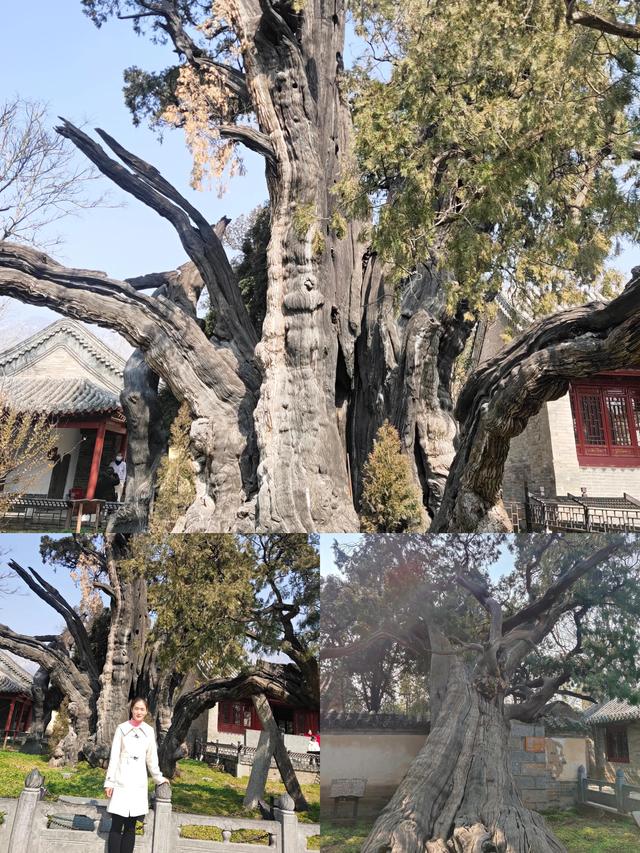 少林寺一日游攻略，少林寺一日游最佳线路（五岳之嵩山一日游攻略）